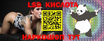 эйфоретик Жуковский