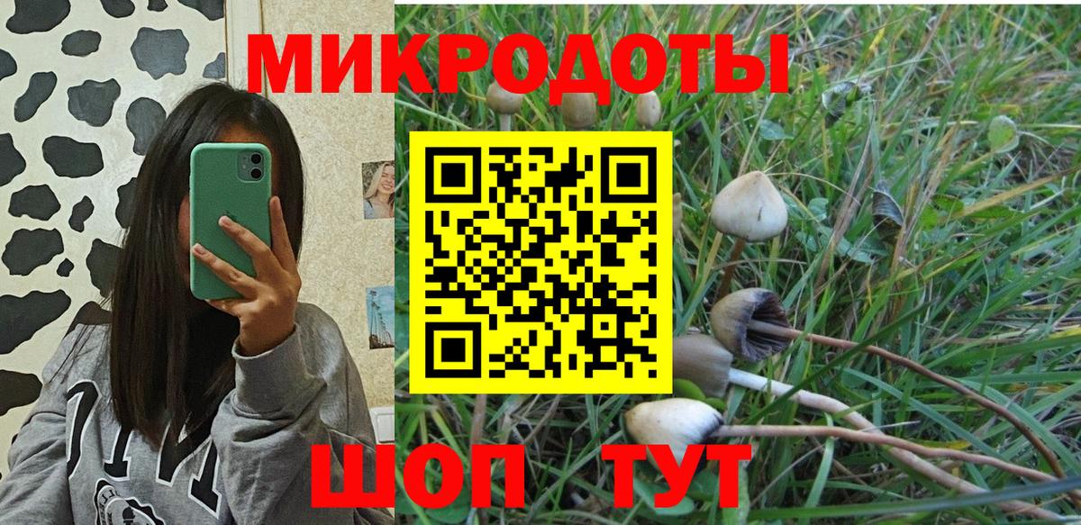 Псилоцибиновые грибы мицелий  Псилоцибиновые грибы Psilocybine cubensis  Вход с VPN  Десногорск 