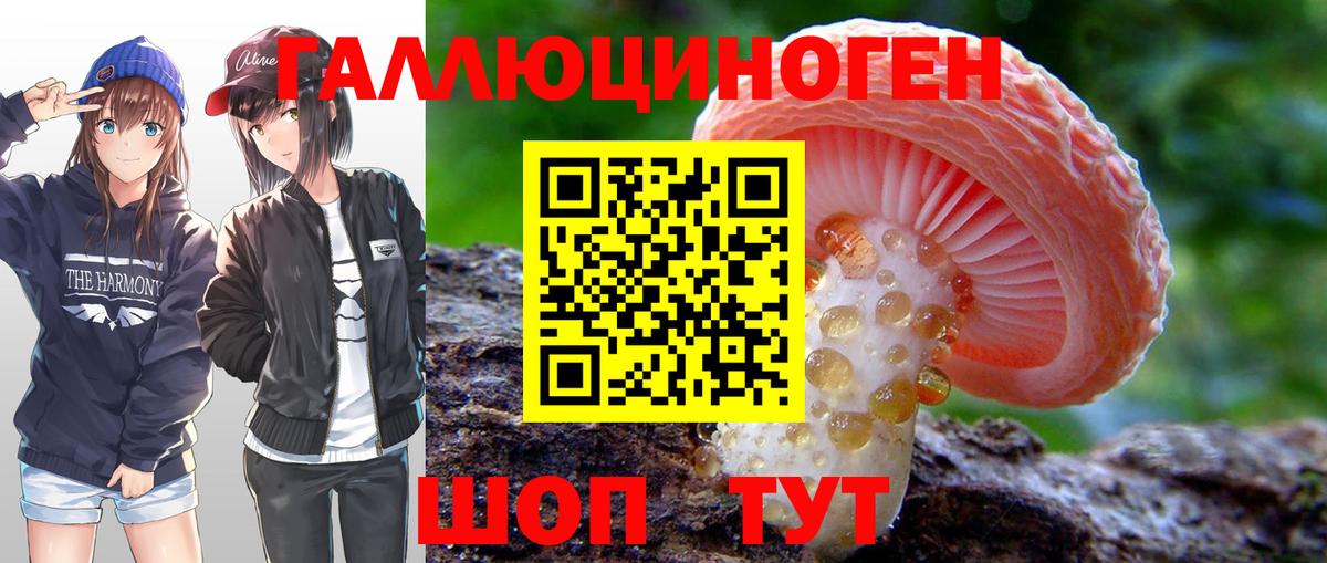 Галлюциногенные грибы Psilocybe Десногорск